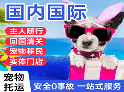 三沙机场物流国际宠物托运 【国